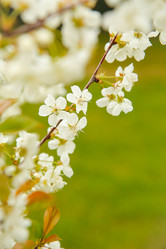 Similar image 21916288