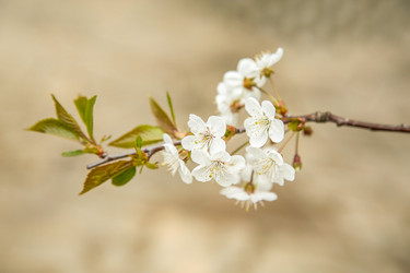 Similar image 21916291