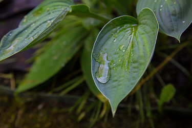 Similar image 21916293