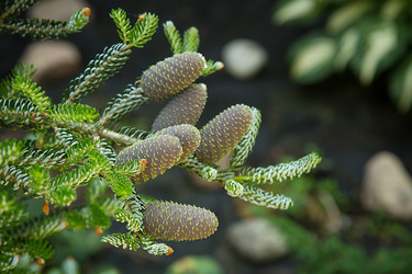 Similar image 21916469