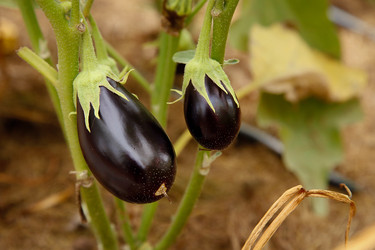 Similar image 21916470