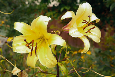 Similar image 21916476