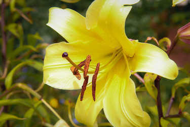 Similar image 21916478