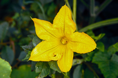 Similar image 21916480