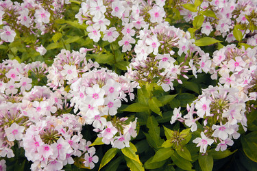 Similar image 21916486