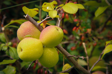 Similar image 21916490