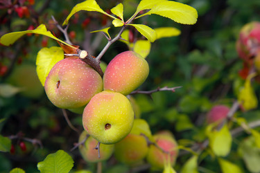 Similar image 21916492