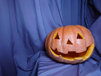 Similar image 21916499