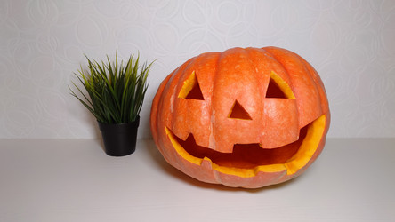 Similar image 21916503