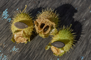 Similar image 21915858