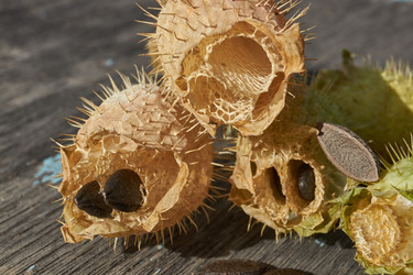 Similar image 21916505