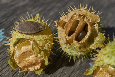 Similar image 21917125