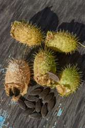 Similar image 21916506