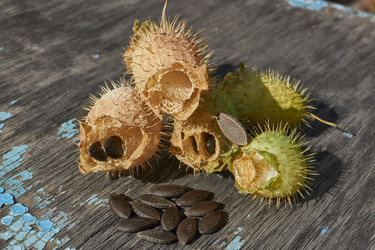 Similar image 21918261