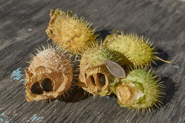 Similar image 21915859