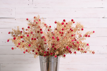 Similar image 21918028