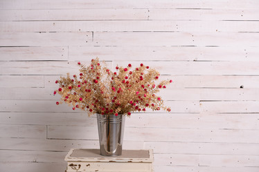 Similar image 21918029