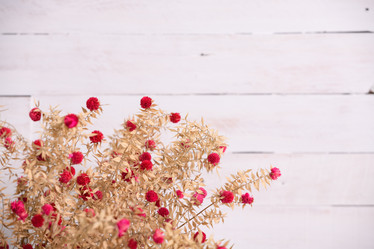 Similar image 21918031