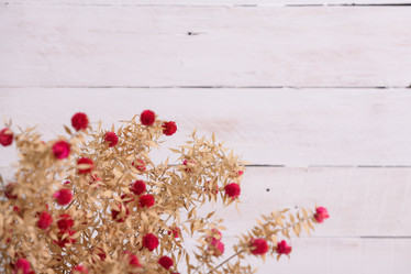 Similar image 21918032