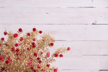 Similar image 21918033