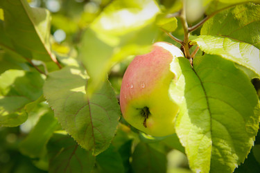 Similar image 21916298