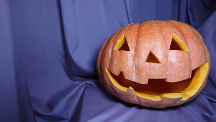 Similar image 21916302