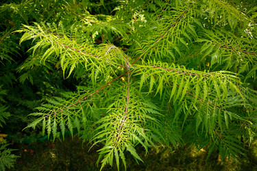 Similar image 21916510