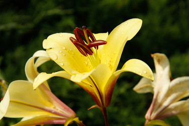 Similar image 21916511