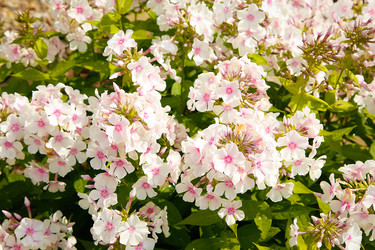 Similar image 21916515