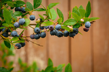 Similar image 21916518