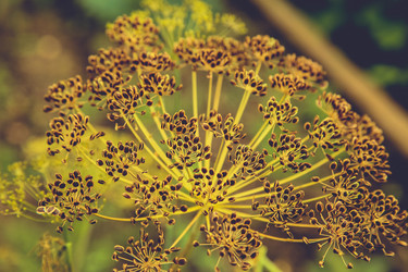 Similar image 21916519