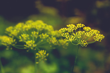 Similar image 21916521