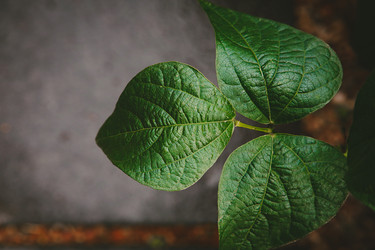 Similar image 21916522