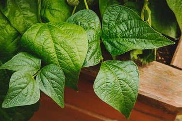 Similar image 21916523