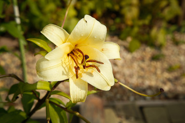 Similar image 21916526