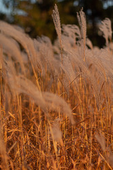 Similar image 21939690