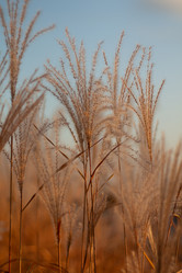 Similar image 21939691