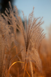 Similar image 21939692