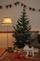 Similar image 21916527