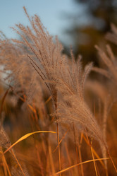 Similar image 21916528