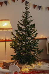 Similar image 21916529