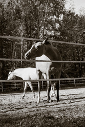 Similar image 21918262