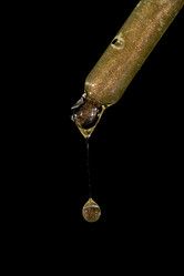 Similar image 21917128