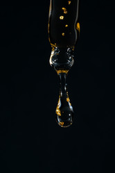 Similar image 21917131