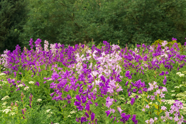 Similar image 21917001