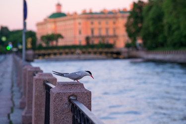 Similar image 21917005