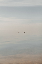 Similar image 21939695