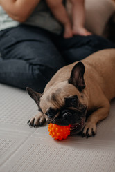 Similar image 21918263