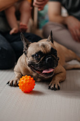 Similar image 21918264