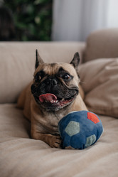 Similar image 21918265